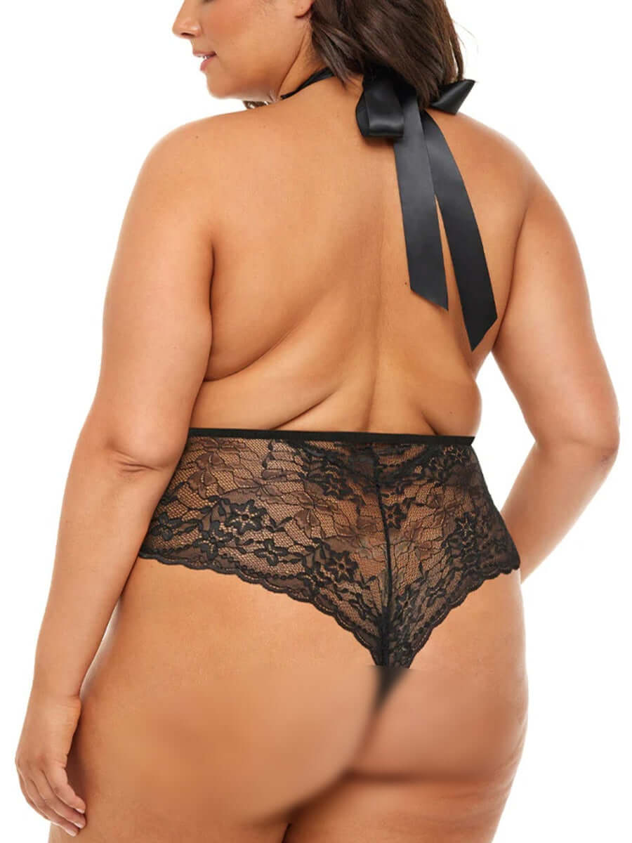 Sexy Transparent Black Lace Tease Plus Size Teddy Lingerie