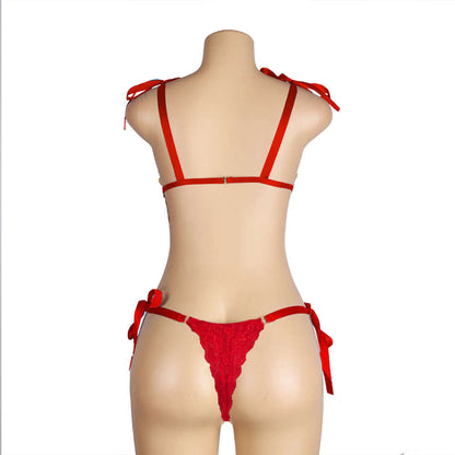 Red Floral Lace Plus Size Transparent Bra Panty Set