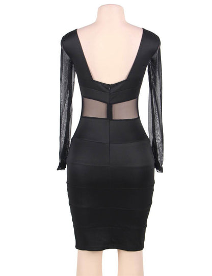 Black Mesh Long Sleeve Bodycon Dress