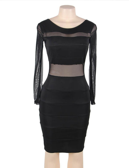 Black Mesh Long Sleeve Bodycon Dress