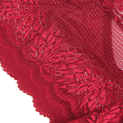 Red Metal Heart Lace Hollow-Out Transparent Panty