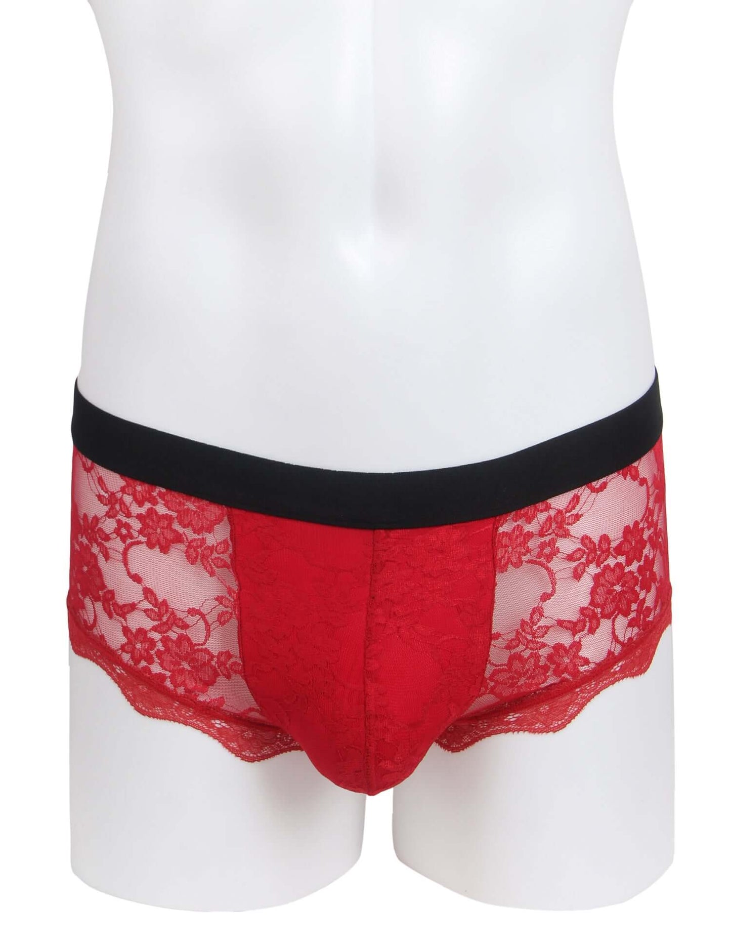 Transparent Lace Underwear for Men
