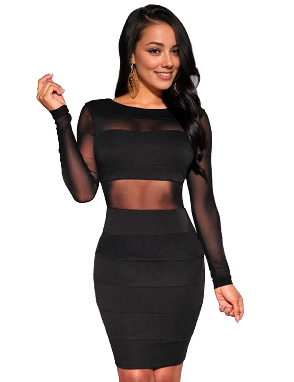 Black Mesh Long Sleeve Bodycon Dress