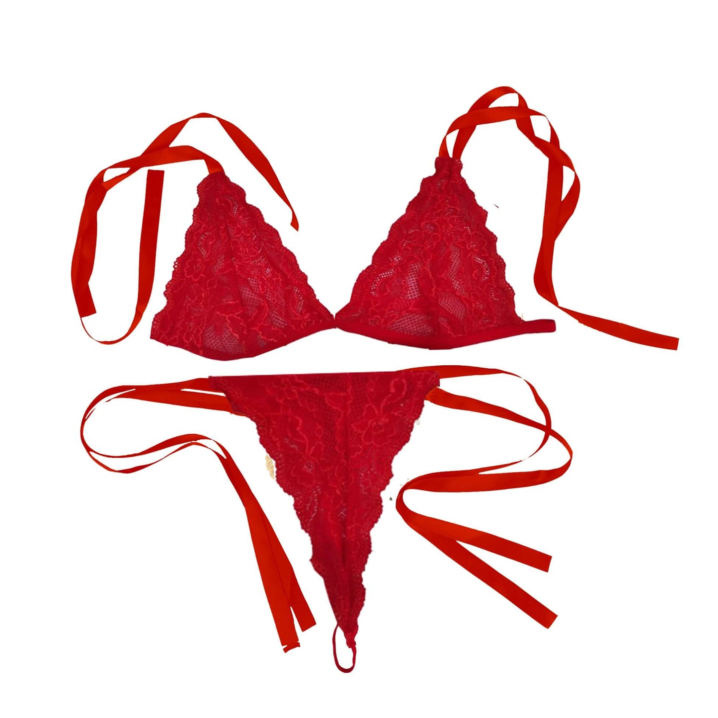 Red Floral Lace Plus Size Transparent Bra Panty Set
