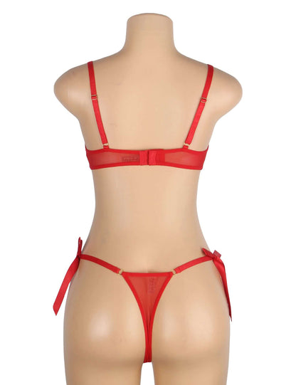 Red Embroidered Heart Mesh Lingerie Set