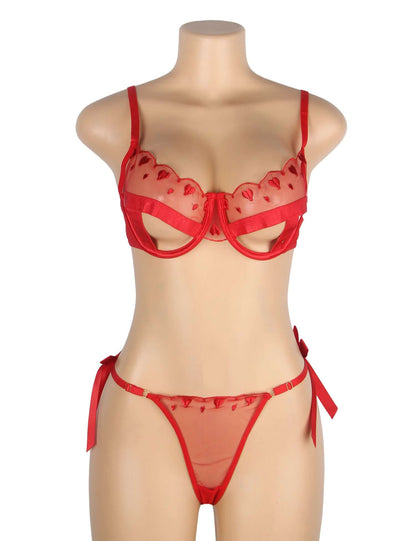 Red Embroidered Heart Mesh Lingerie Set