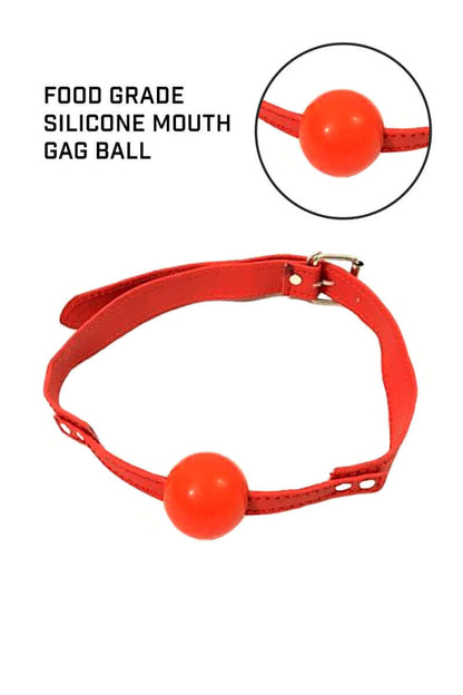 11 Pc Red Leather BDSM Kit for Bondage play